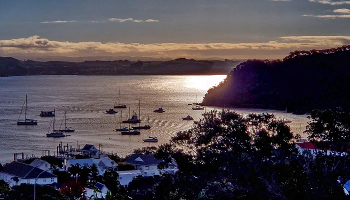 Miran Tepeš, Skokica