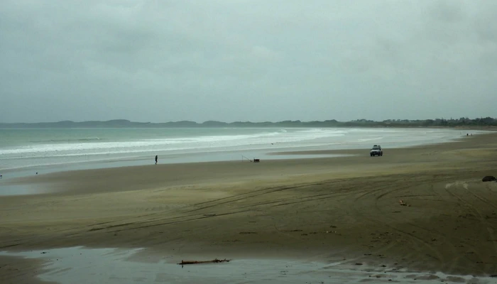 Miran Tepeš, Skokica