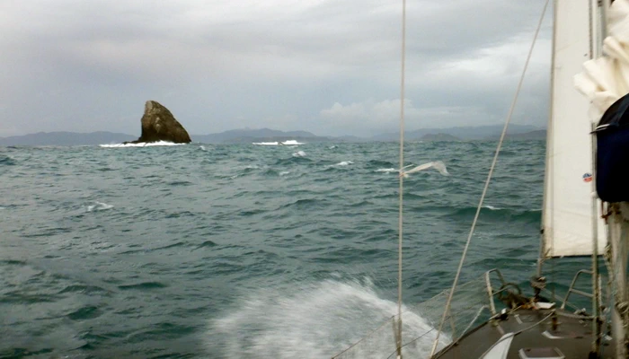 Miran Tepeš, Skokica