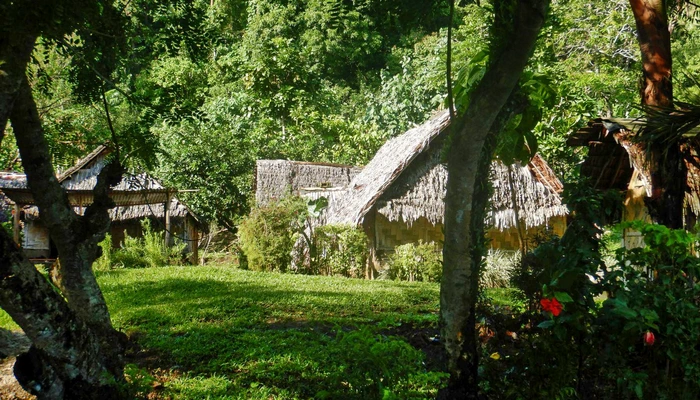 Miran Tepeš, Skokica