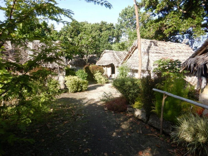 Miran Tepeš, Skokica Miran Tepeš, Skokica