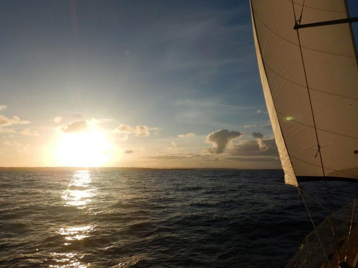 Miran Tepeš, Skokica Miran Tepeš, Skokica