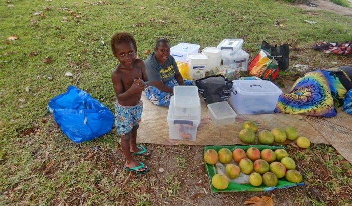 Miran Tepeš, Skokica