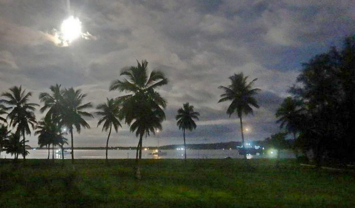 Miran Tepeš, Skokica