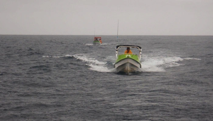 Miran_Tepes_Skokica Miran_Tepes_Skokica