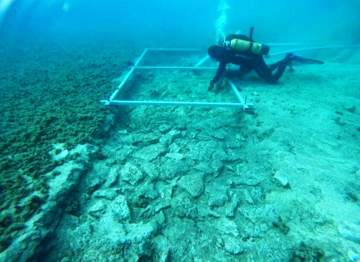 Gradina_Korcula