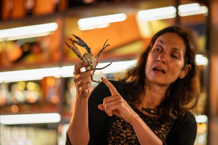 Modr_Rakovica_Rizibizi