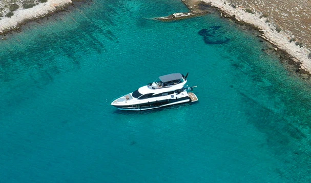 Sea Expandary Sea Expandary