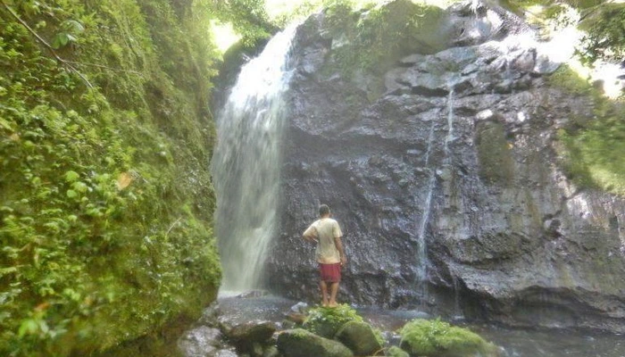 Miran Tepeš, Skokica