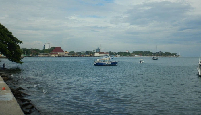 Miran_Tepes_Skokica